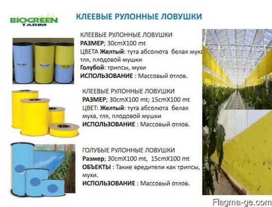 Голубые рулонные ловушки 30см*100см