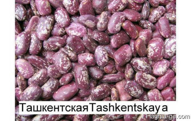 Высококачественная очищенная фасоль от прозводителя