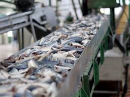 Армянским производителям форели и рыбной продукции