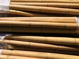 Bamboo - фото 1