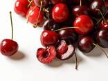 Черешня сорт бычий глаз из Узбекистана - фото 3