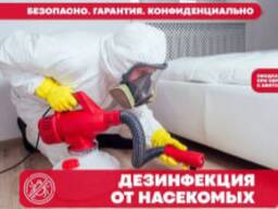 დეზინფექცია ტარაკნების, ბუჩქების, ტკიპების განადგურება