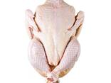 Frozen Chicken Paws/ Wings/ Feet/Whole Chicken - фото 2