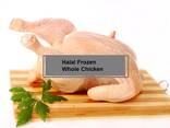 Frozen Chicken Paws/ Wings/ Feet/Whole Chicken - фото 3