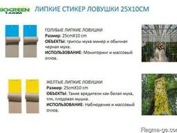 Голубые клеевые ловушки-карты 25см*10см