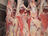 Говядина отличного качества - фото 1