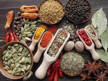 Грузинские специи - фото 1
