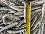 Хамса свежемороженая - photo 3