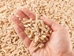 High Quality Wood Pellets for Export at Cheap Prices