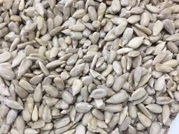 Ищу бизнес партнера. Бизнес в Минске