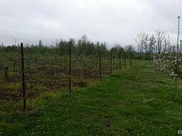 Ищу компаньона в экологический бизнес на земле в Грузии.