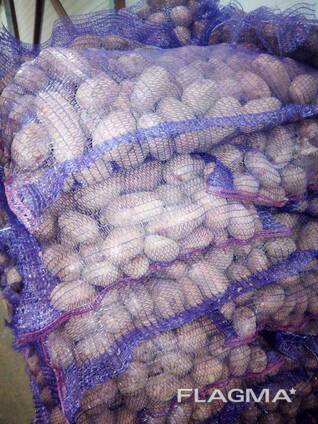 Картофель из Беларуси