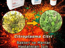 Комплекс Maxtor-Fitor-Phosfull