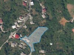 საინვესტიციო მიწის ნაკვეთი: ახალსოფელი-გონიოს პანორამა.