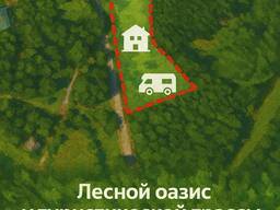 Лесной оазис у туристической трассы — участок 4600 м² в Новом Цхалтубо!