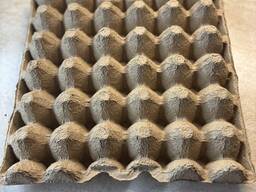 Лотки для яиц бумажные, 30 шт