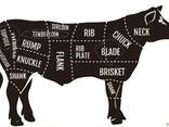 Мясо Халяль говядина (бык) опт экспорт