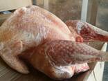 Мясо индейки - фото 1