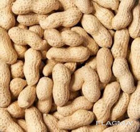 Неочищенный арахис из Солнечного Узбекистана