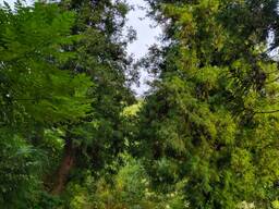 2250 квм Несельхоз земельный участок