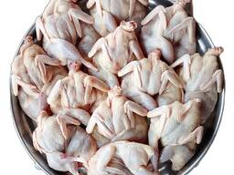 Продам тушки перепелов