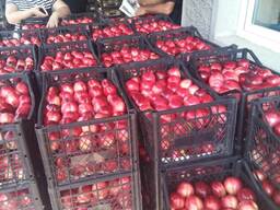 Персик и Некторин