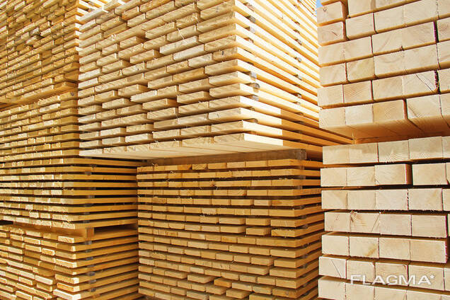 დამსხვრეული ხე-ტყე