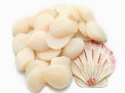 Принимаем заказы на поставку морепродуктов из  (Дальний восток)