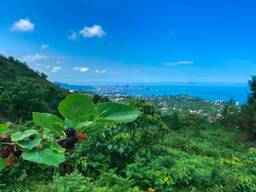 Продается несельхоз участок в Верхнем Гантиади