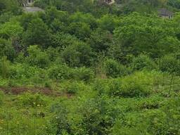 Продается сельхоз участок