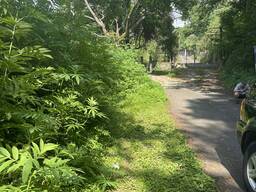 Продается 3293 м2 участок не сельхоз по 40$ за 1 м