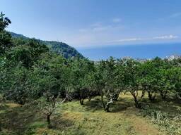 Продается участок рядом Батуми