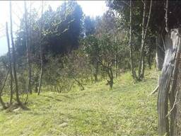 Продается участок рядом Батуми