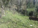 Продается участок рядом Батуми - фото 2