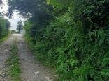 Продается участок в Батуми/Land for sale in Batumi - фото 7