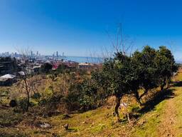 Продается участок в Батуми