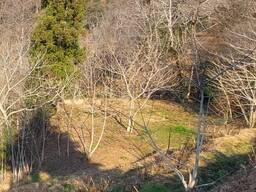 Продается участок земли в селе Чаисубани