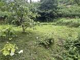 Продается в Капрешуми участок не сельхоз - photo 11