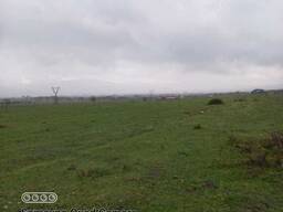 Продается земельный участок 9641 кв. м в Мцхете, в селе Церовани