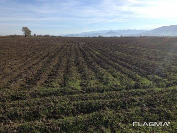 Продается земельный участок В Абашском районе