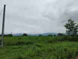 Продается земельный участок в Кобулети - photo 1