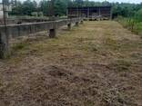 Продается земельный участок в Уреки - фото 2