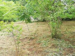 Продается земельный участок в Шекветили