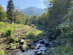 Продается земля не сельхозназначения возле реки, в Ортобатуми.