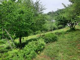 Продается земля в Нижняя Самеба