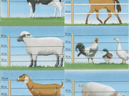 Продам Электропастухи