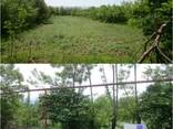 Продам земельный участок 2300 кв. м в Мцхета, Цилкани - фото 2