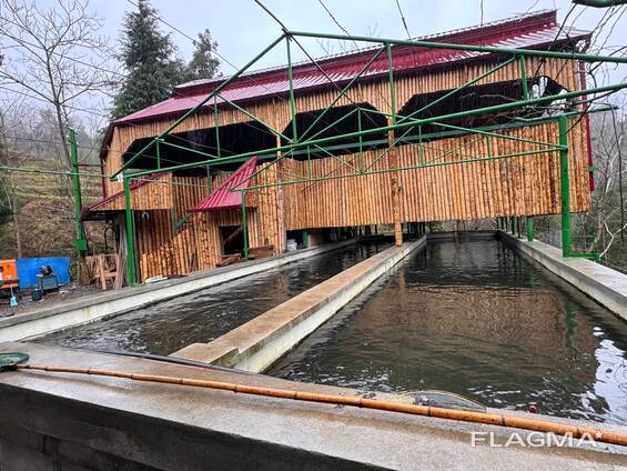 Продаётся рыбное хозяйство в Грузии Батуми