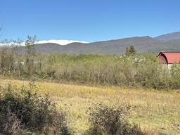 Продаётся шикарный участок 2800 м² в Новом Цхалтубо — 2–3 км от радоновых ванн!