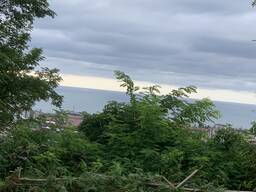 Продаётся участок в Аджарии/Land for sale in Adjara